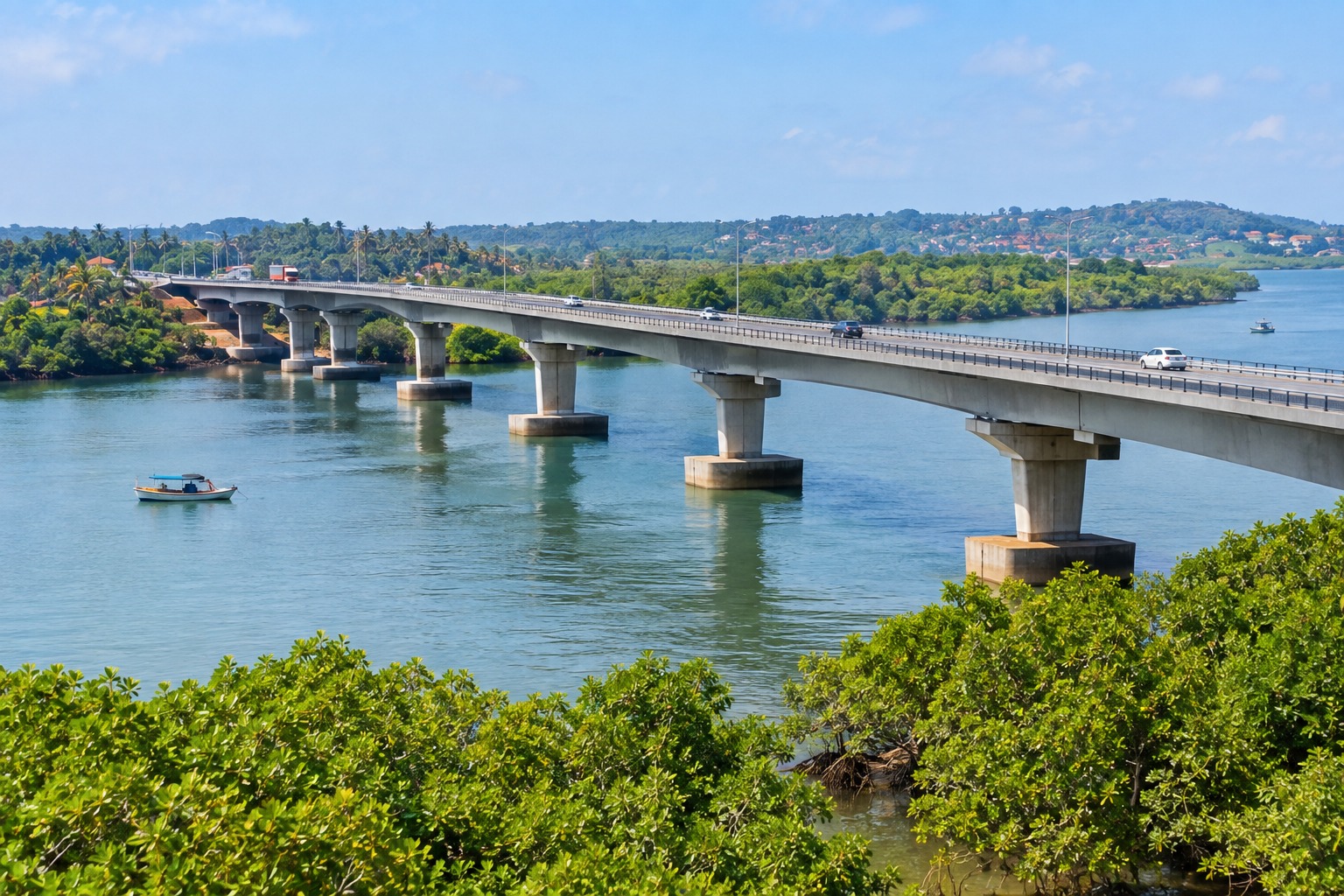 Chorao Bridge Project Gets CRZ Clearance Recommendation, Mangrove Protection Stressed